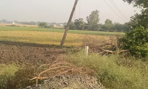 சாய்ந்த மின்கம்பங்கள் சாய்ந்த மின்கம்பங்கள்