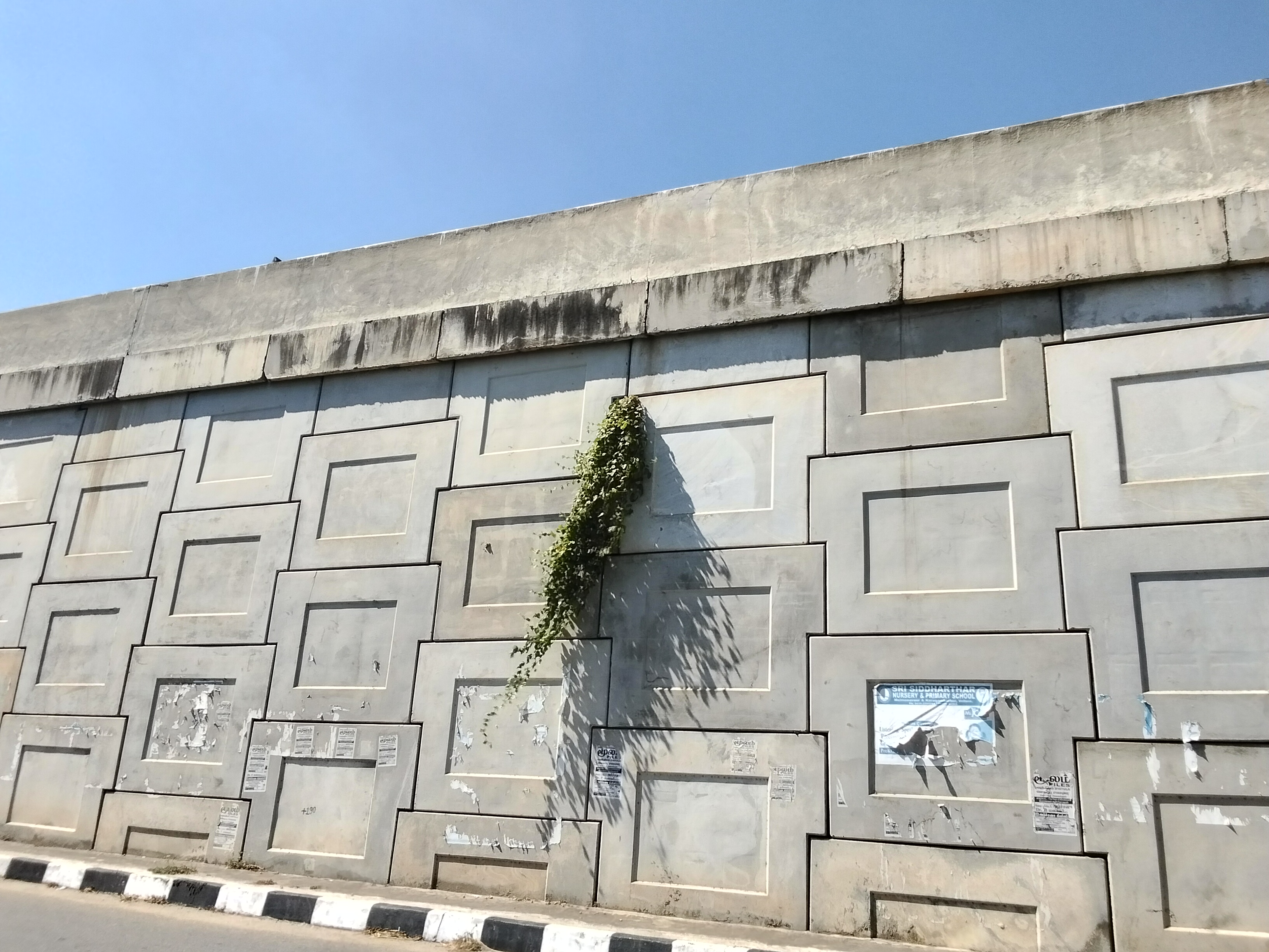 மேம்பாலத்தில் வளர்ந்த செடிகள்