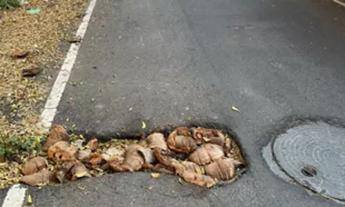 குழி மூடப்படுமா?