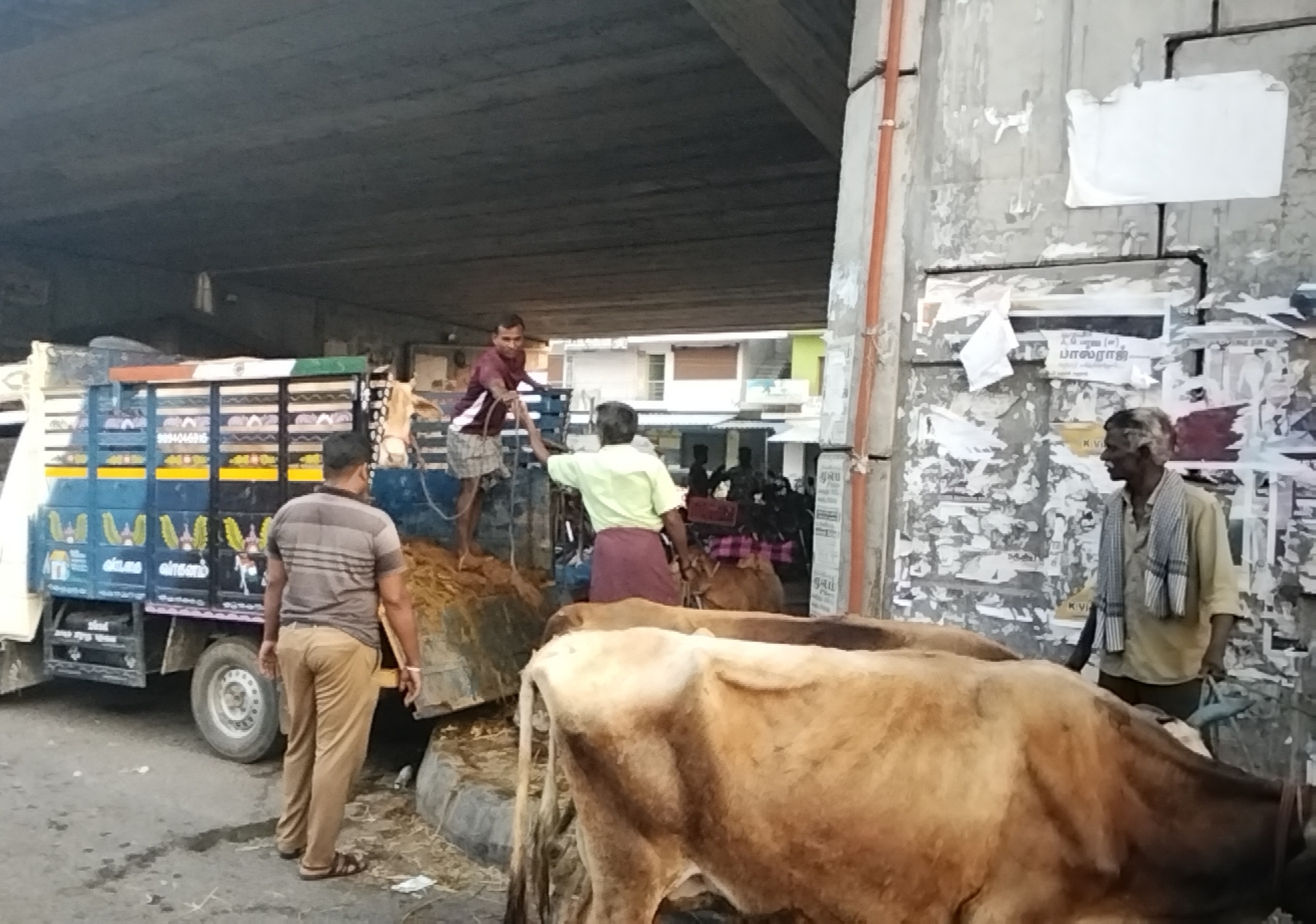 சாய்தள மேடை வசதி அமைத்துத்தர வேண்டும்