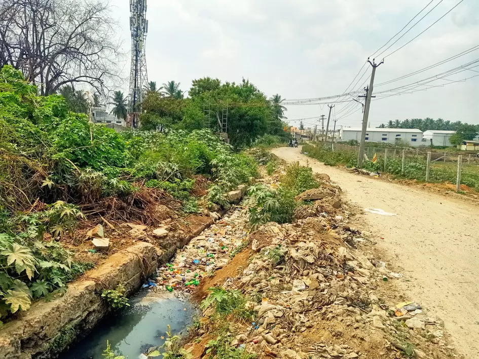 தொற்றுநோய் பரவும் அபாயம்