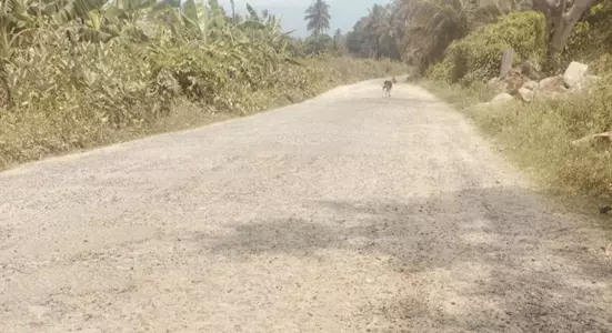 மோசமான சாலை