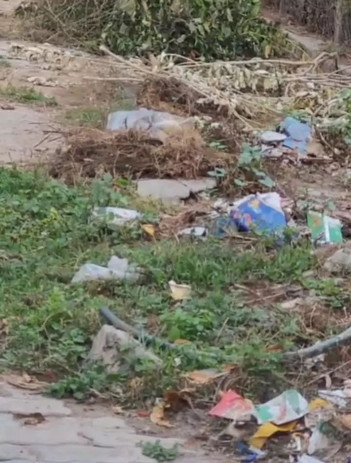 அகற்றப்படாத குப்பைகள்