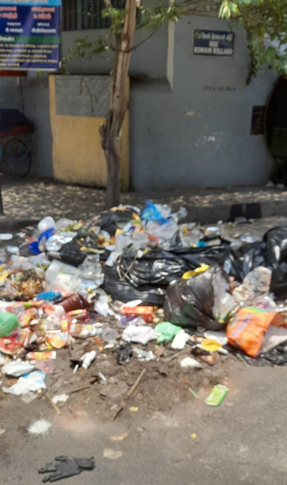 சாலையில் சிதறி கிடக்கும் குப்பைகள் சாலையில் சிதறி கிடக்கும் குப்பைகள்