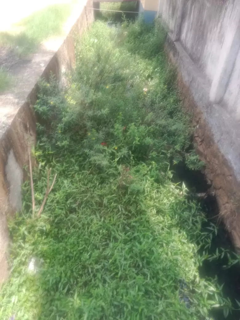 தூர்வார வேண்டும் தூர்வார வேண்டும்