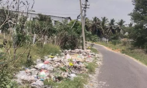 இறைச்சி கழிவுகளால் துர்நாற்றம் இறைச்சி கழிவுகளால் துர்நாற்றம்
