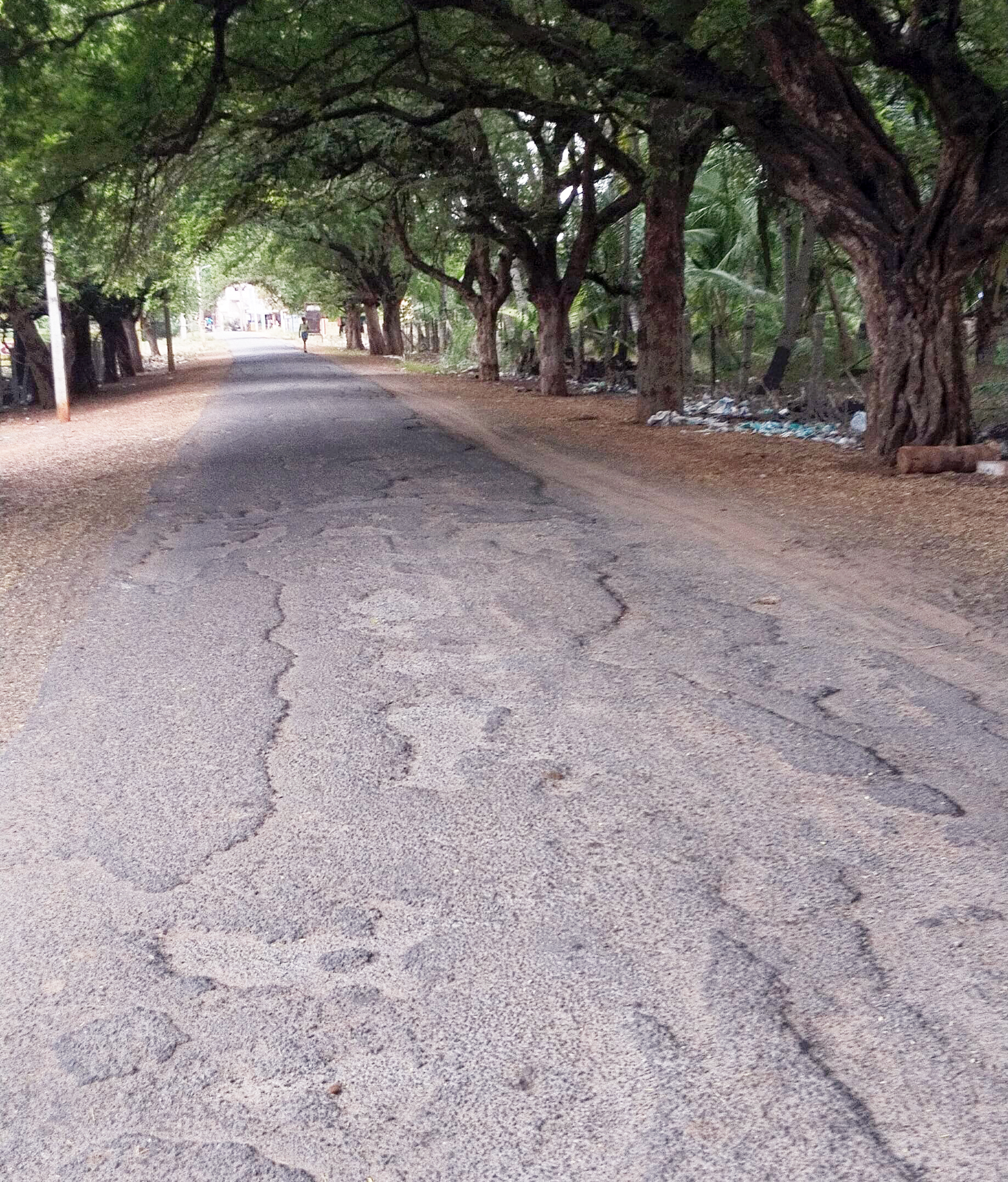 குண்டும் குழியுமான சாலை குண்டும் குழியுமான சாலை