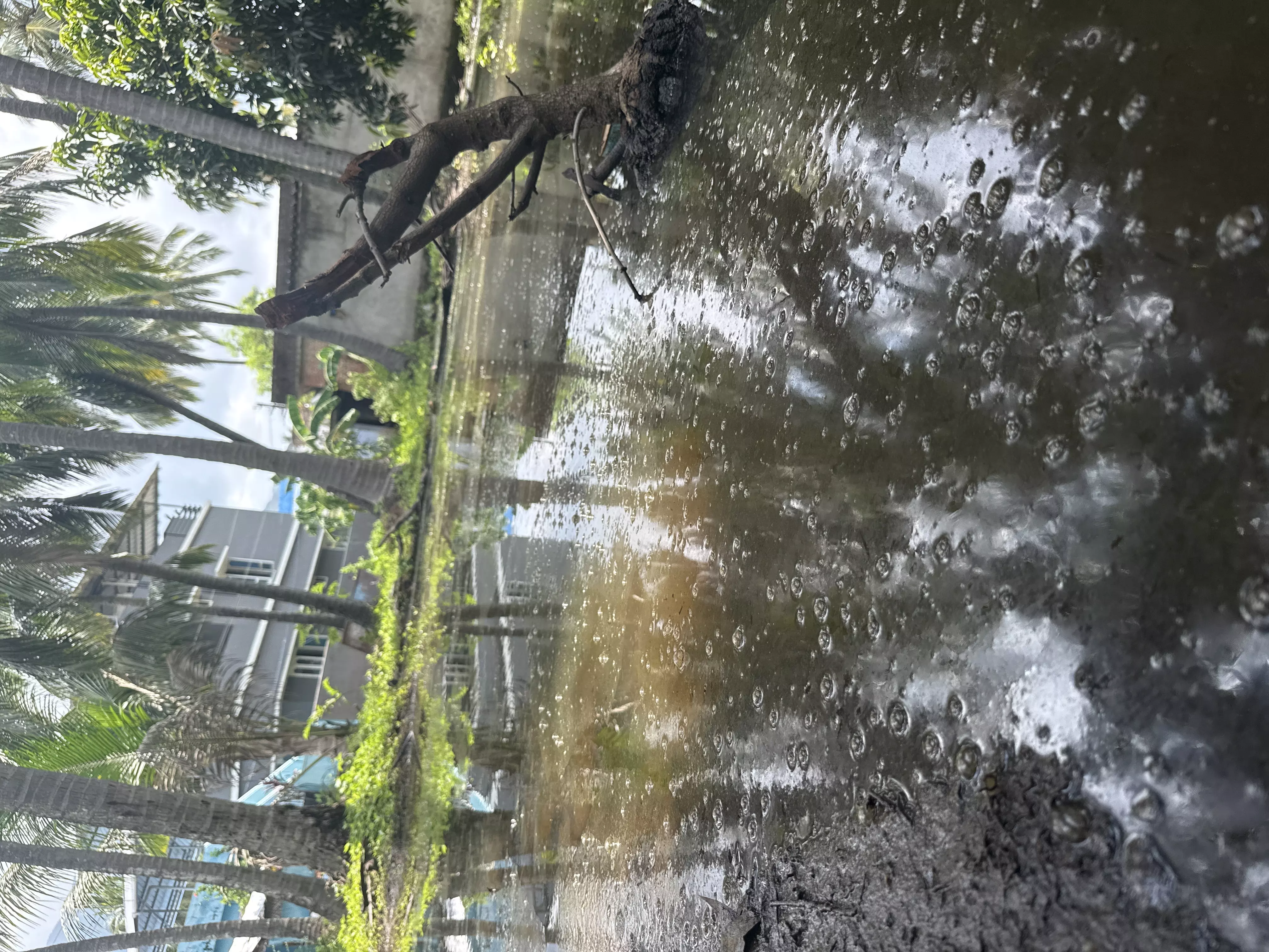 சுகாதார சீர்கேடு