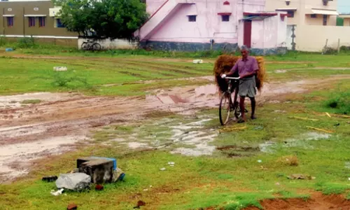 அடிப்படை வசதிகள் தேவை