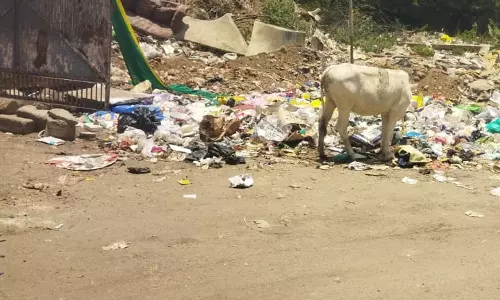 குப்பையை அகற்ற வேண்டும் குப்பையை அகற்ற வேண்டும்
