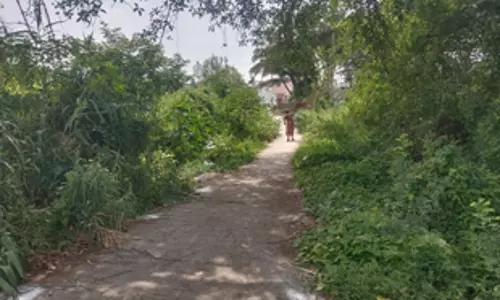 ரோட்டை ஆக்கிரமித்த முட்புதர்கள்