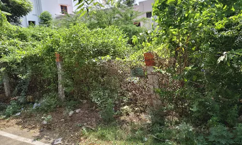 விஷ ஜந்துக்கள் நடமாட்டம் விஷ ஜந்துக்கள் நடமாட்டம்