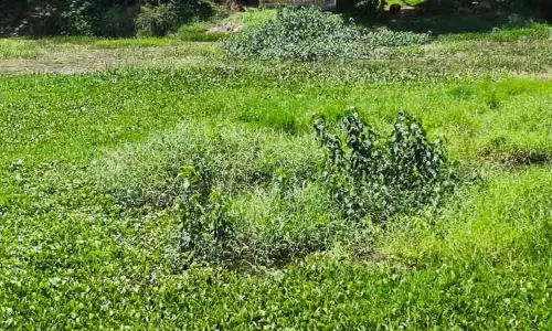 தூர்வார வேண்டும்