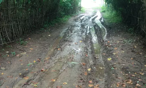 தார்சாலை வேண்டும் தார்சாலை வேண்டும்