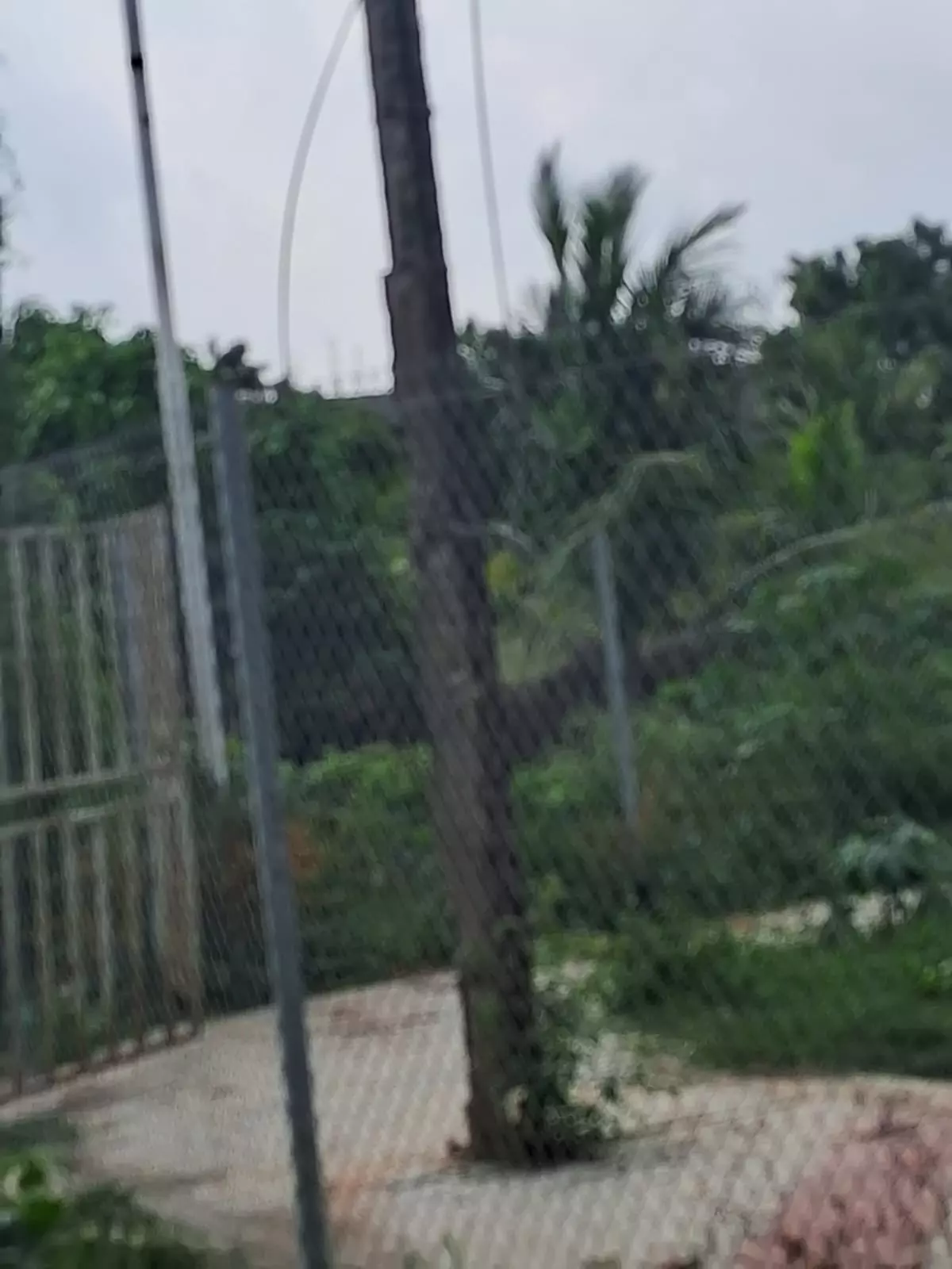 சேதமடைந்த மின்கம்பம் சேதமடைந்த மின்கம்பம்