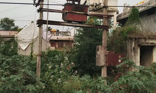 புதர் சூழ்ந்த டிரான்ஸ்பார்மர்