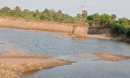 கால்வாய் கரையை சேதப்படுத்த முயற்சி