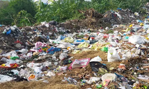 சாலையோரம் குப்பைகள் வீச்சு