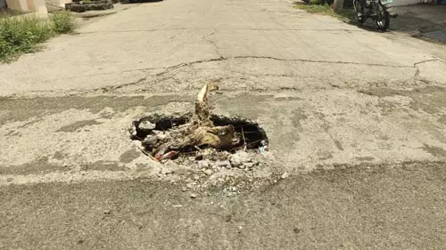 சிதிலமடைந்த பாலம்