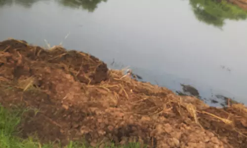 மாசடையும் தண்ணீர்
