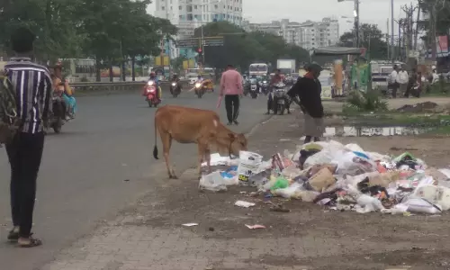 சாலையில் குப்பைகள் சாலையில் குப்பைகள்