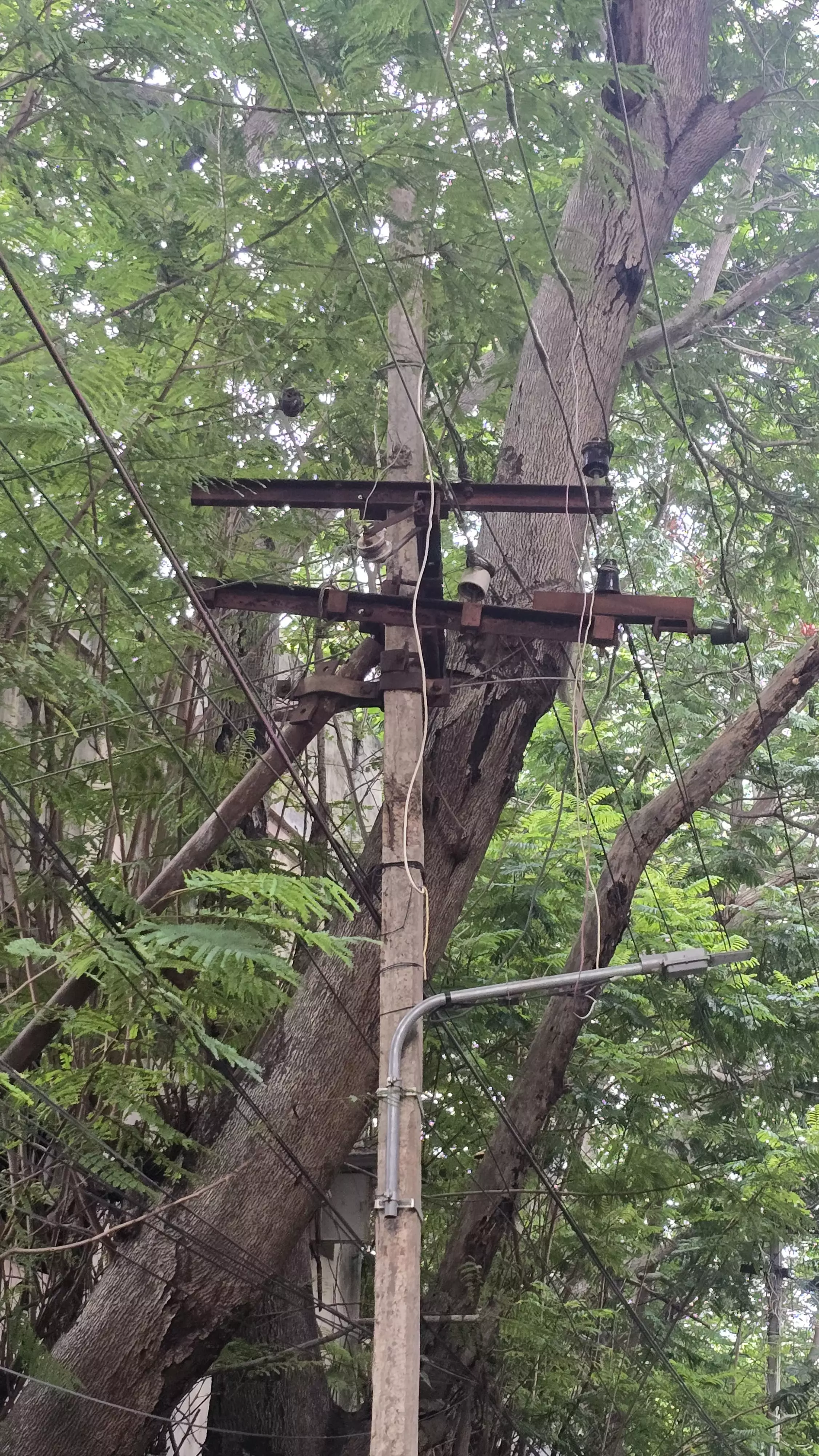 நடவடிக்கை தேவை நடவடிக்கை தேவை