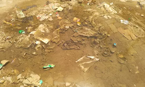 சுகாதார சீர்கேடு