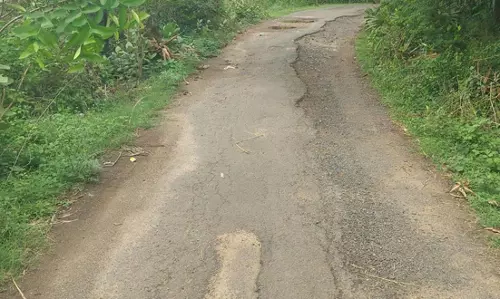 சேதம் அடைந்த தார் சாலை