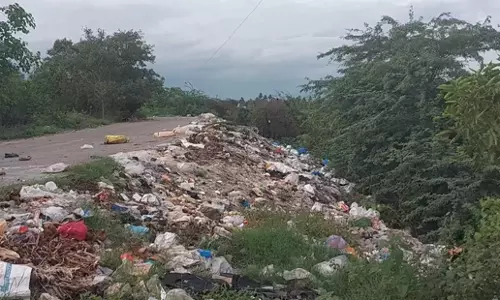 சாலையோரம் கோழிக்கழிவுகள் வீச்சு
