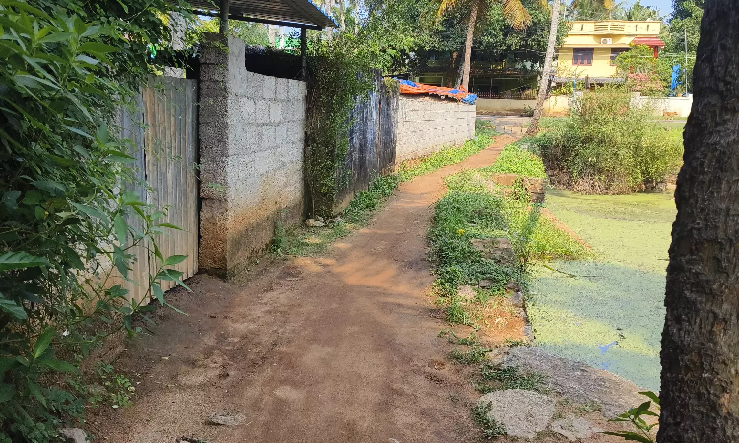 சாலை வசதி தேவை