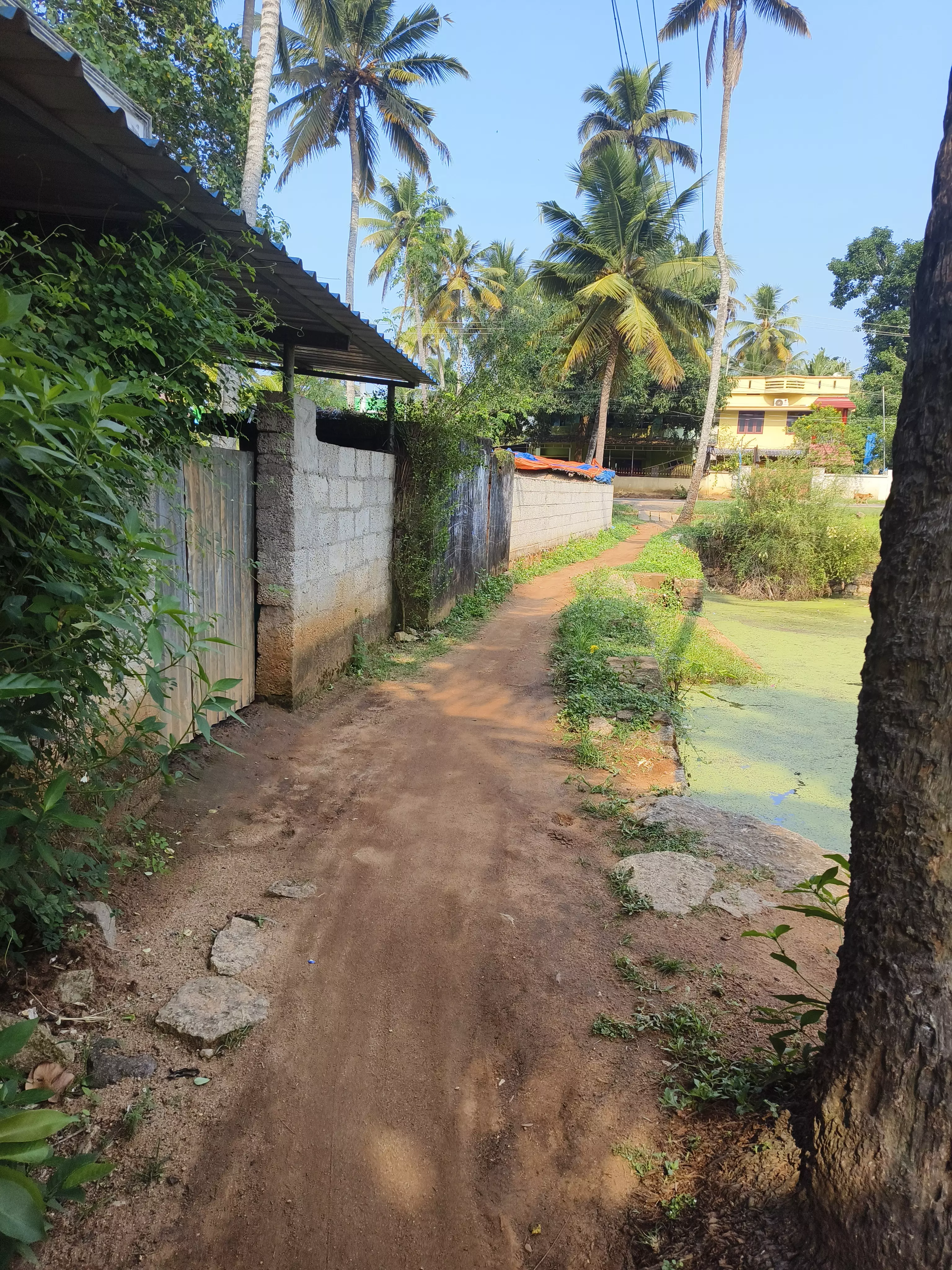 சாலை வசதி தேவை