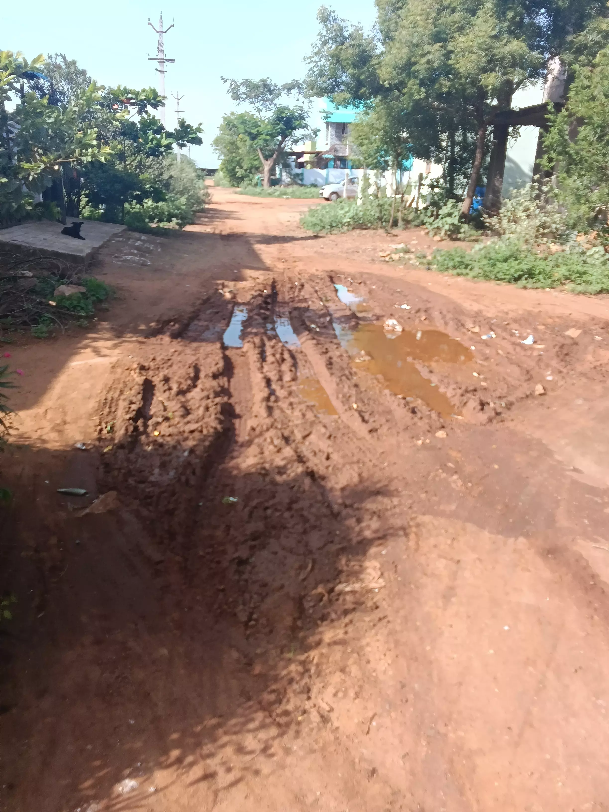 தார்சாலை வேண்டும் தார்சாலை வேண்டும்