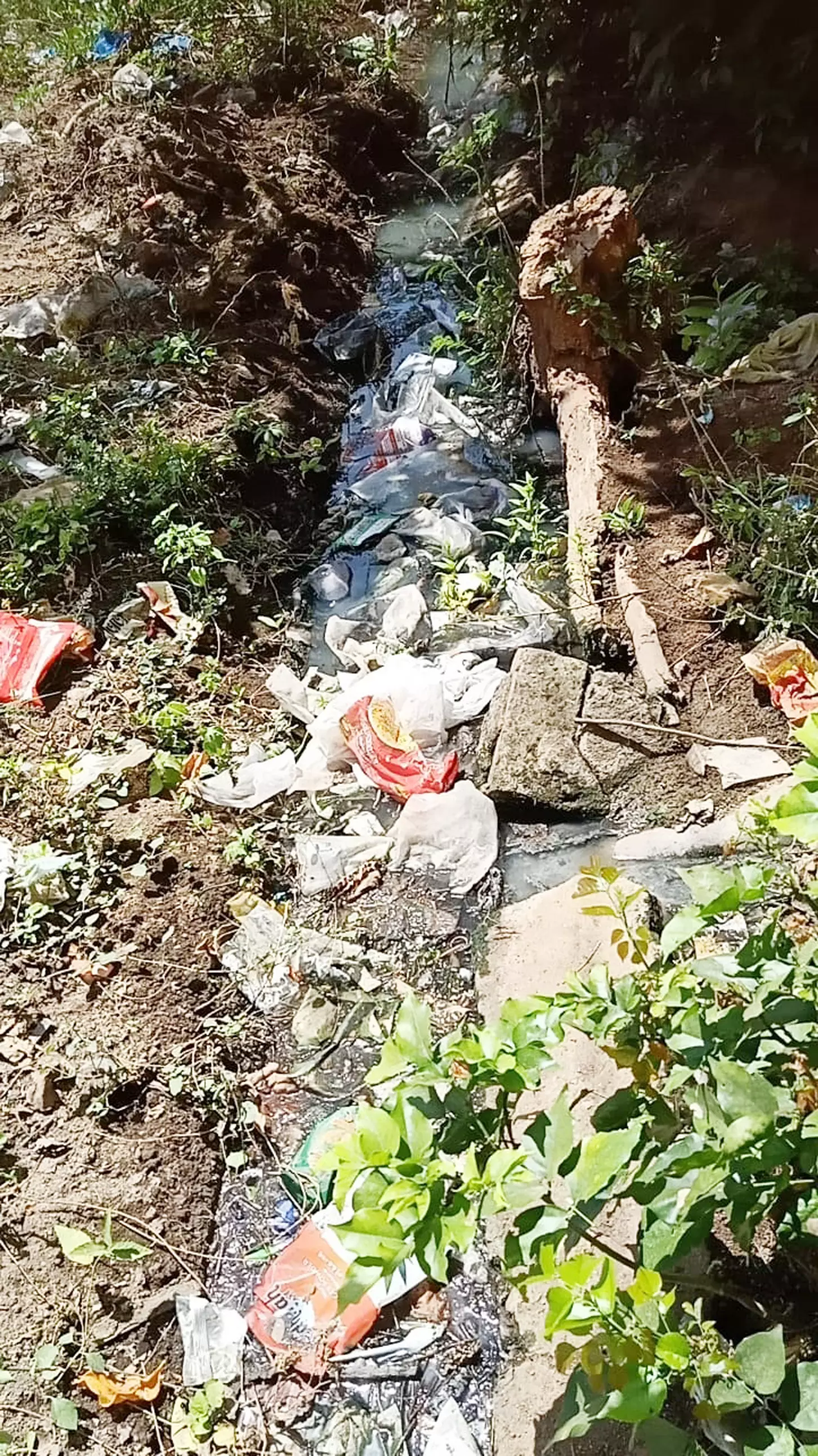 சுகாதாரக்கேடு சுகாதாரக்கேடு