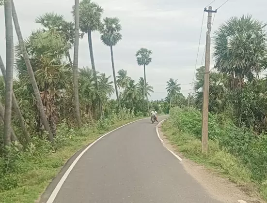 மின் விளக்கு வசதி தேவை