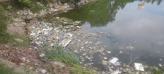 குளம் சுத்தம் செய்யப்படுமா? குளம் சுத்தம் செய்யப்படுமா?