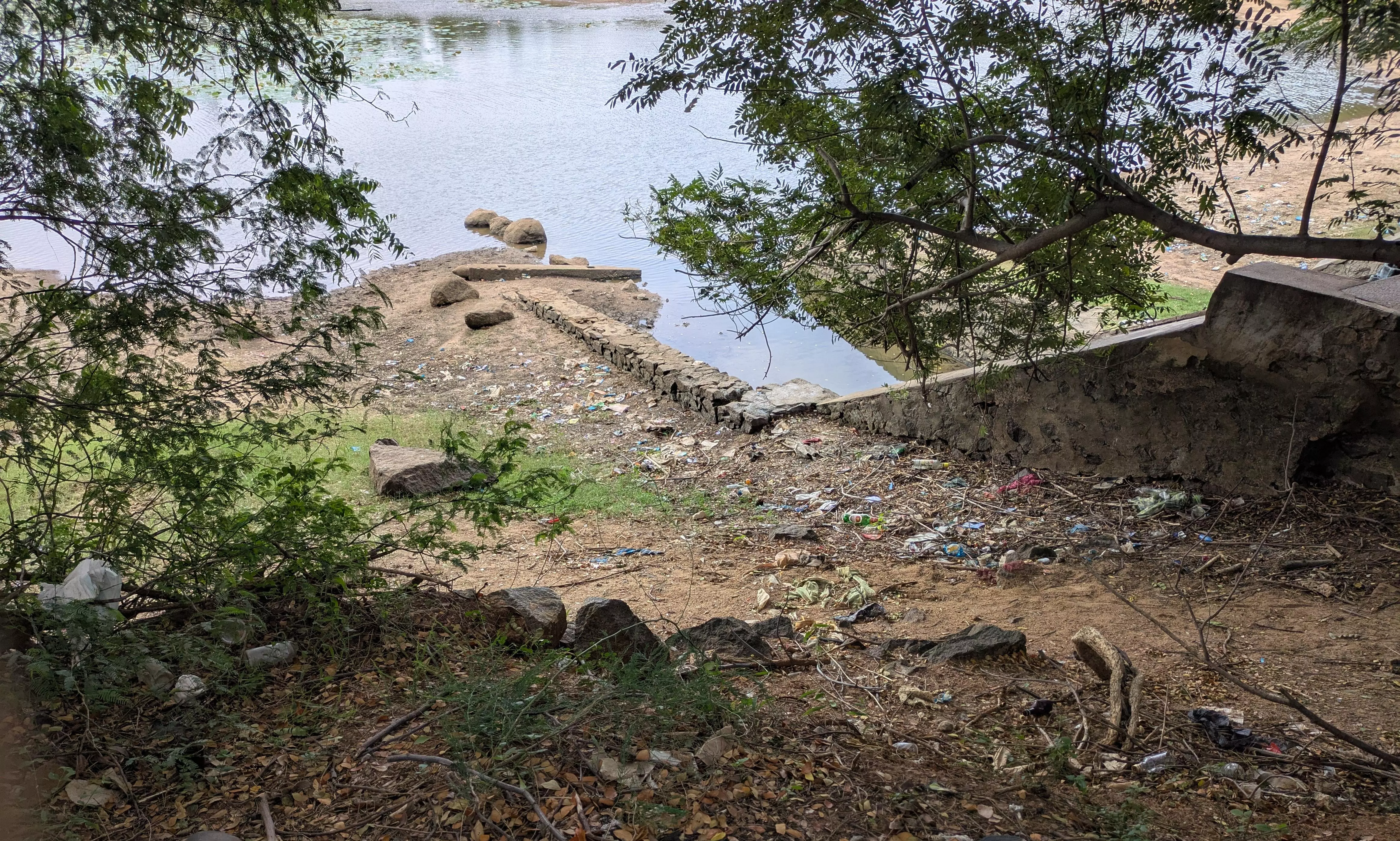 நடவடிக்கை தேவை