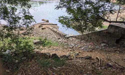 நடவடிக்கை தேவை நடவடிக்கை தேவை