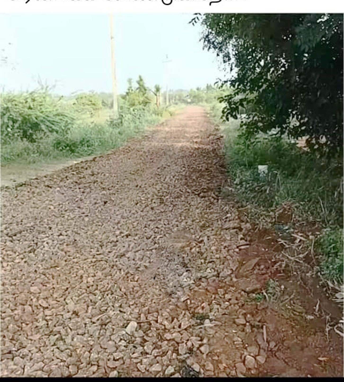 கிடப்பில் போடப்பட்ட சாலைப்பணி கிடப்பில் போடப்பட்ட சாலைப்பணி