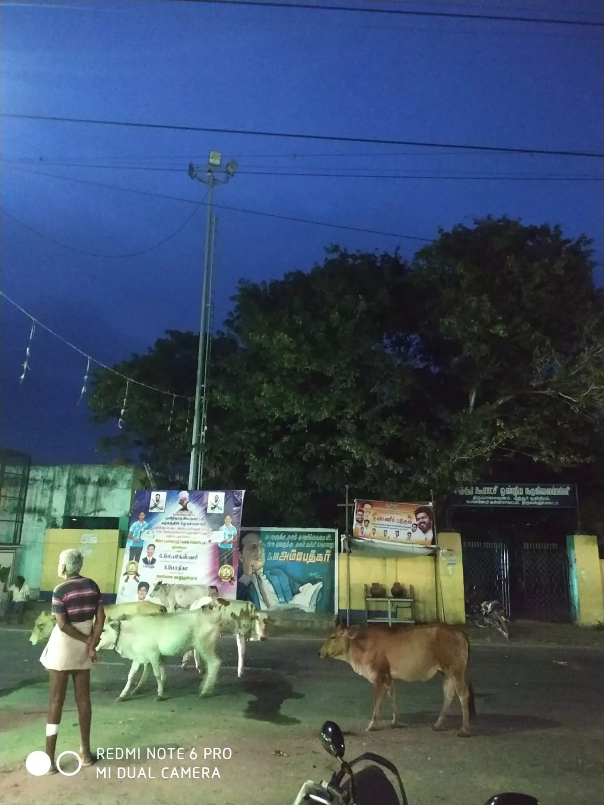 எரியாத மின்விளக்குகள் எரியாத மின்விளக்குகள்