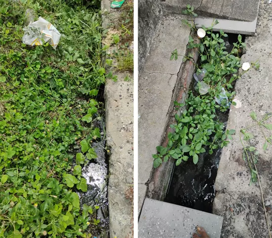 கால்வாய்களை தூர்வார வேண்டும் கால்வாய்களை தூர்வார வேண்டும்