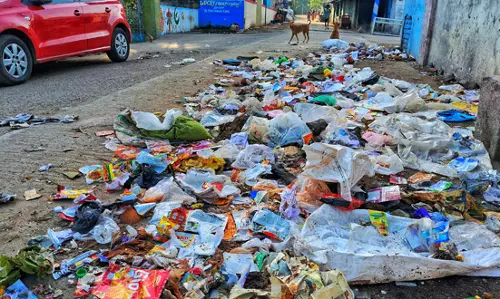 சாலையோரம் குவியும் குப்பைகள்