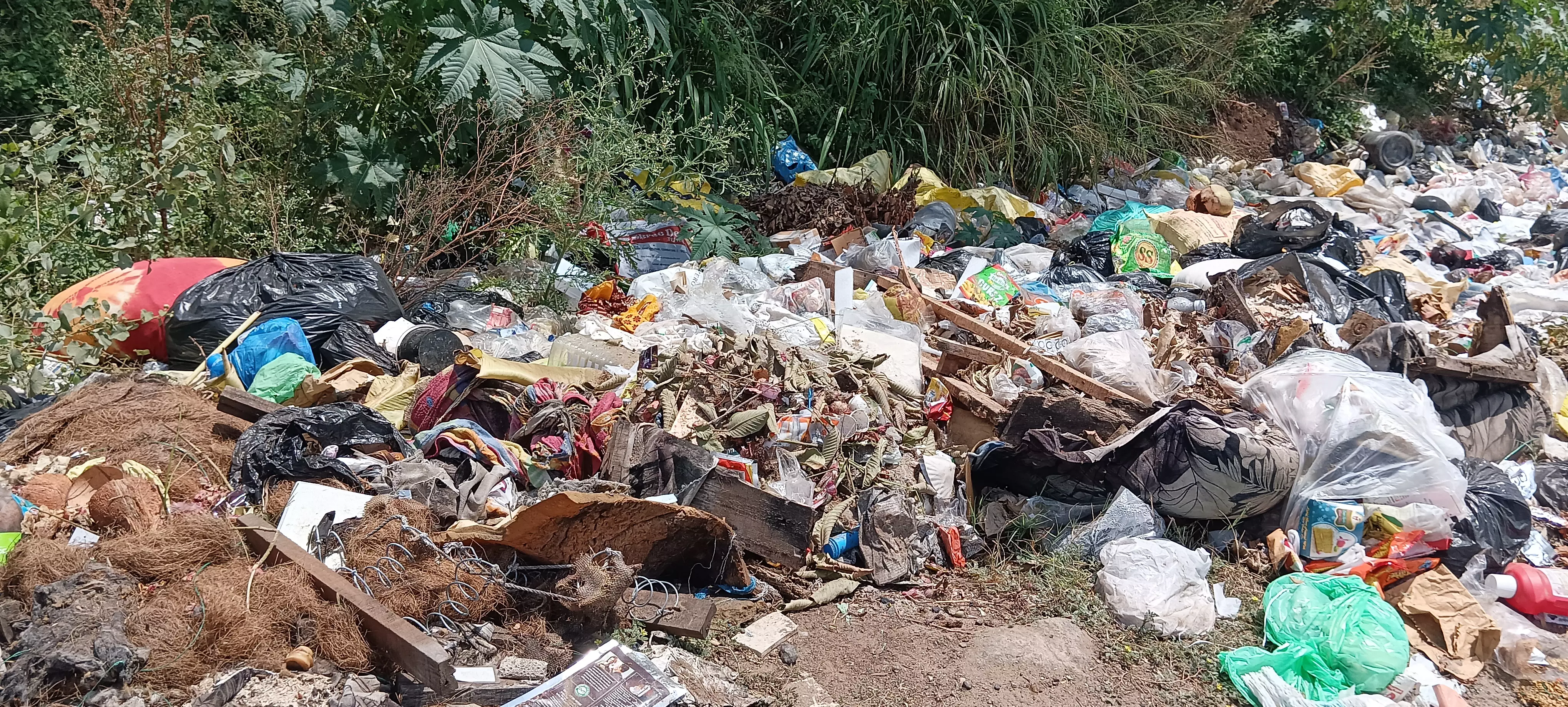 சுகாதார சீர்கேடு சுகாதார சீர்கேடு