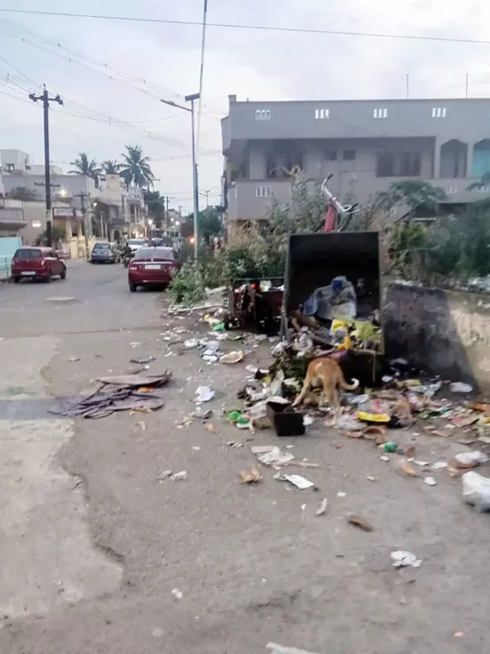 குடியிருப்பு அருகில் கொட்டப்படும் குப்பைகள்