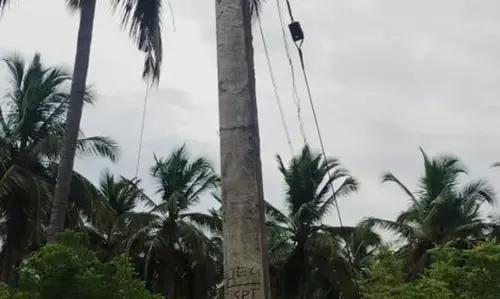 மின்கம்பம் சேதம்