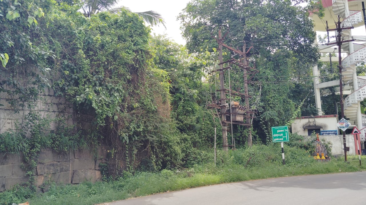 நடவடிக்கை எடுப்பார்களா? நடவடிக்கை எடுப்பார்களா?