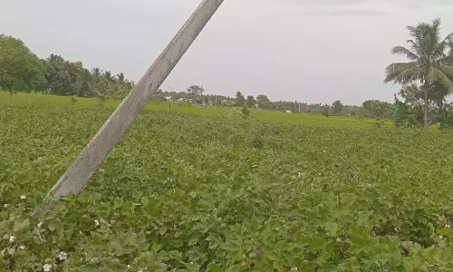 சாய்ந்த நிலையில் மின்கம்பம் சாய்ந்த நிலையில் மின்கம்பம்