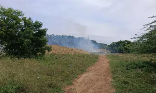 தொடரும் அவலம்