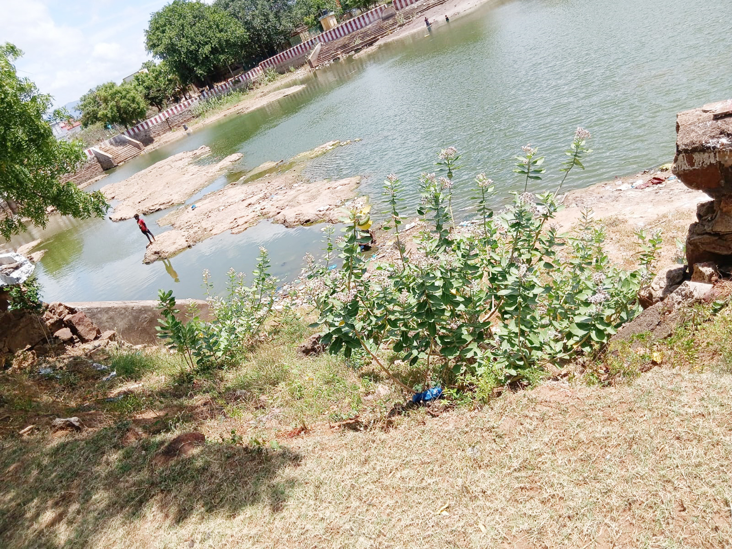 தெப்பக்குளம் சீரமைக்கப்படுமா?