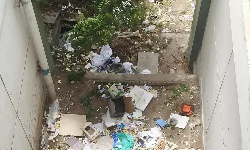கலெக்டர் அலுவலக வளாகத்தில் குவியும் குப்பைகள்