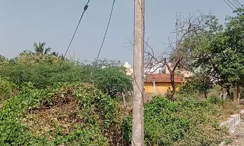 தினத்தந்தி புகார் பெட்டிக்கு